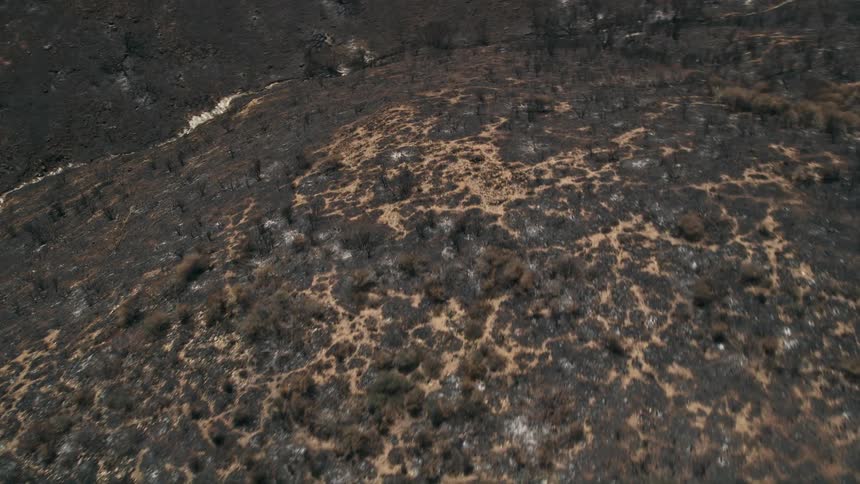 Birds eye view of the aftermath of a devastating forest fire on the mountain slopes of Santa Monica Mountains California