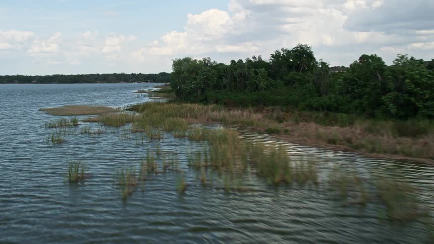 Birds flying over the shoreline of Lake Apopka in Florida during a partly cloudy day captured through a birds eye view aerial mode