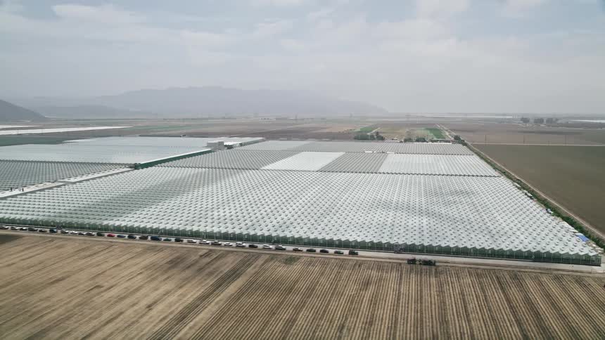 A birds eye view of greenhouses in Camarillo California zooms out to show a wider view of the sunny farmland in the area during daytime