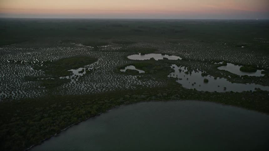 Aerial view of marshy wetlands on the Florida coast during twilight showcasing beautiful vegetation growth and shoreline