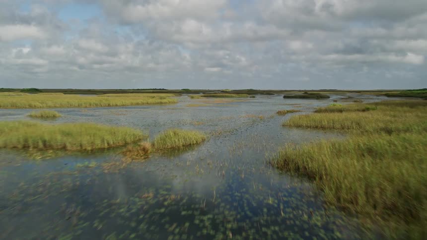 A breathtaking aerial footage of low flying over the famous marshes of Florida Everglades during a partly cloudy spring or summer day