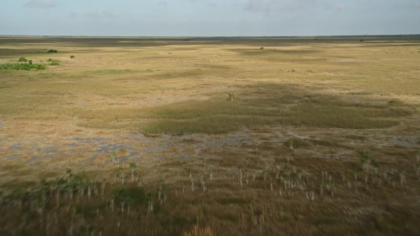 Aerial view of flying over marshland in the Florida Everglades region on a partly cloudy day with lush green wetlands spread out beneath you