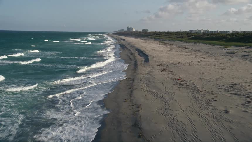 An aerial view of an empty beach in Hobe Sound Florida revealing sea birds coastline and waves breaking against the shore