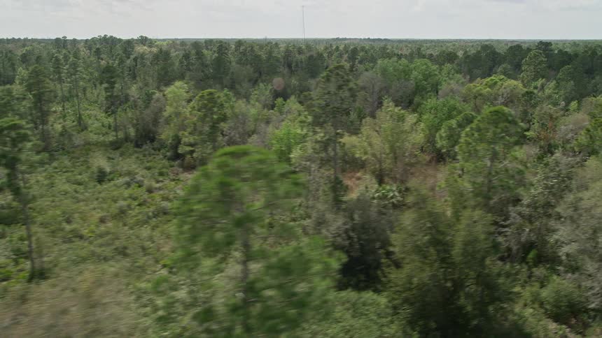 Fly over lush green forest and clearings in Cocoa Florida capturing the natural beauty and wilderness on a partly cloudy day