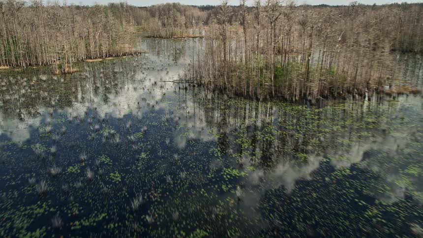 An aerial view of swamplands in Orlando Florida during the daytime with partly cloudy skies revealing the wetlands and trees