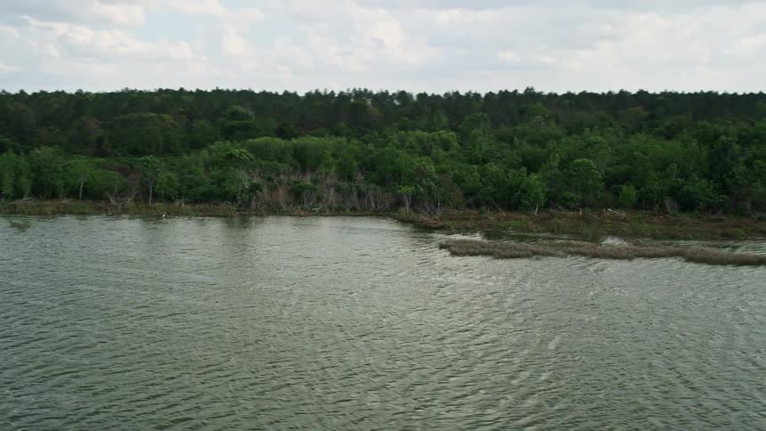Aerial footage of a forested shoreline near Lake Apopka in Florida under partly cloudy skies