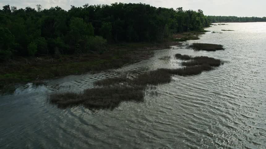 Approaching the tree-lined shore of Lake Apopka in Florida from an aerial on a partly cloudy day during summer