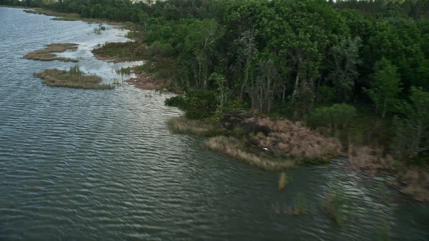 An aerial view of the tree-lined shoreline of Lake Apopka Florida with partly cloudy skies and crystal-clear waters