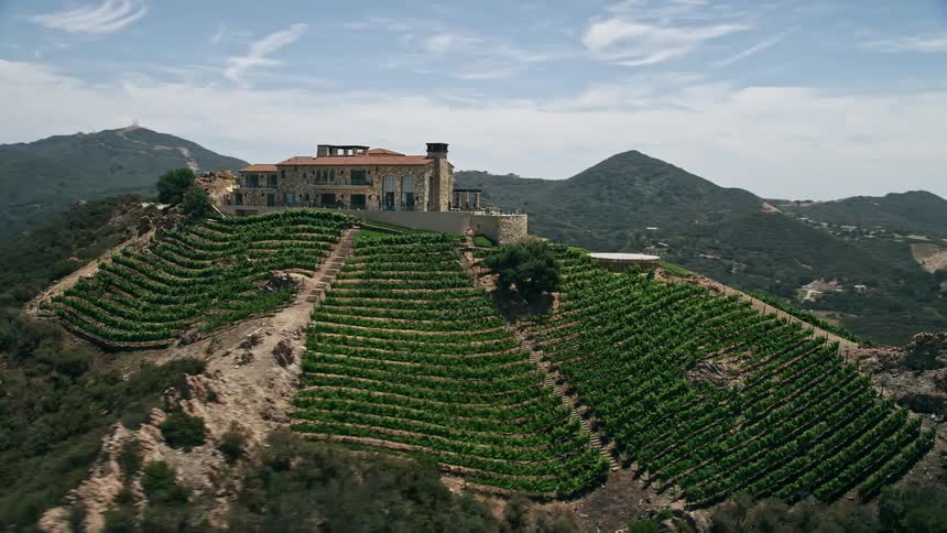 Fly over the Malibu Rocky Oaks Estate Vineyards showcasing the stunning hillside grapevines and West Coast landscape