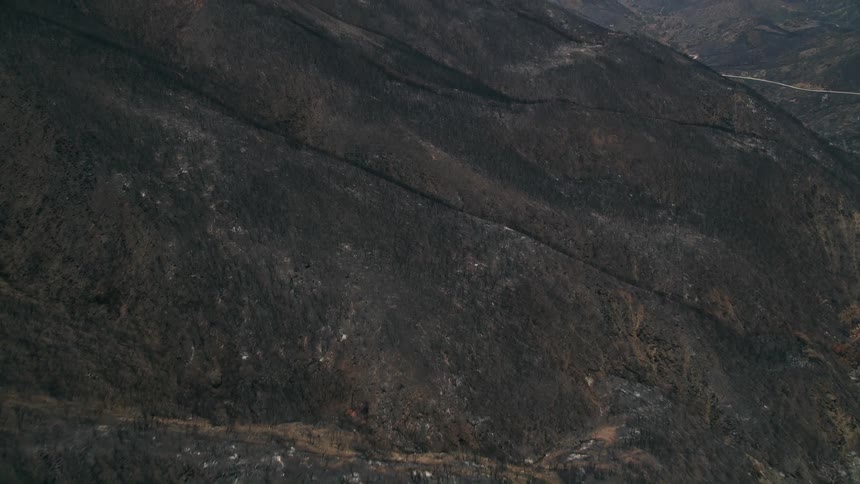 Aerial footage of the aftermath of a forest fire shows scorched slopes in the Santa Monica Mountains with hazy skies and approaching woodlands