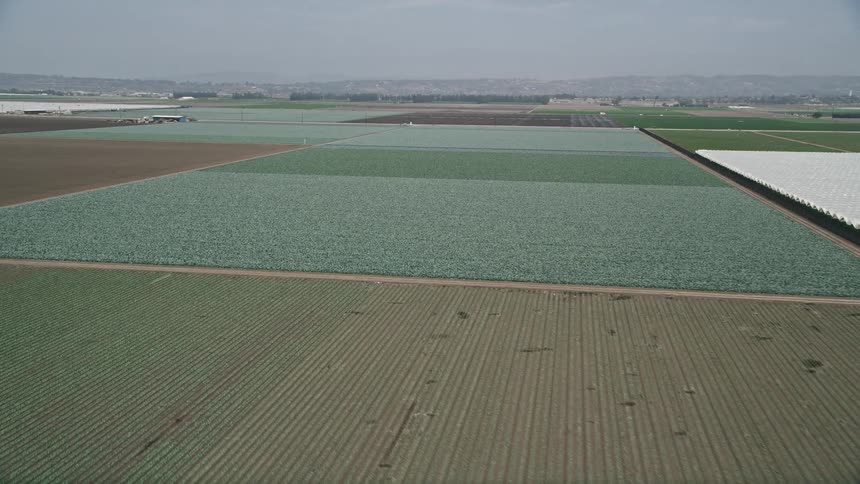 An aerial drone fly-over approach of a sunny California farm field showing crops and farmsteads near Camarillo in Southern California