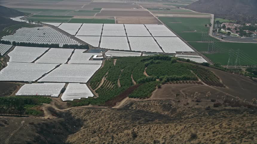 An aerial flyby of a vast agricultural plantation with crop fields greenhouses and orchards stretching across the horizon in Camarillo California