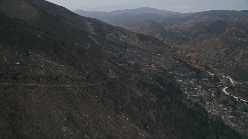Aerial footage of the scorched slopes of Santa Monica Mountains with a panoramic view of the burned-out valley and trees