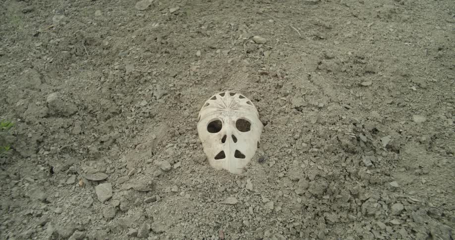 An insect crawling next to a hockey mask buried in the ground