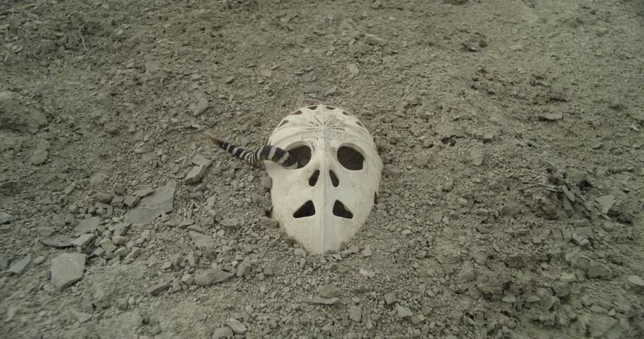 A snake slithers into the eyehole of a wooden mask on the ground