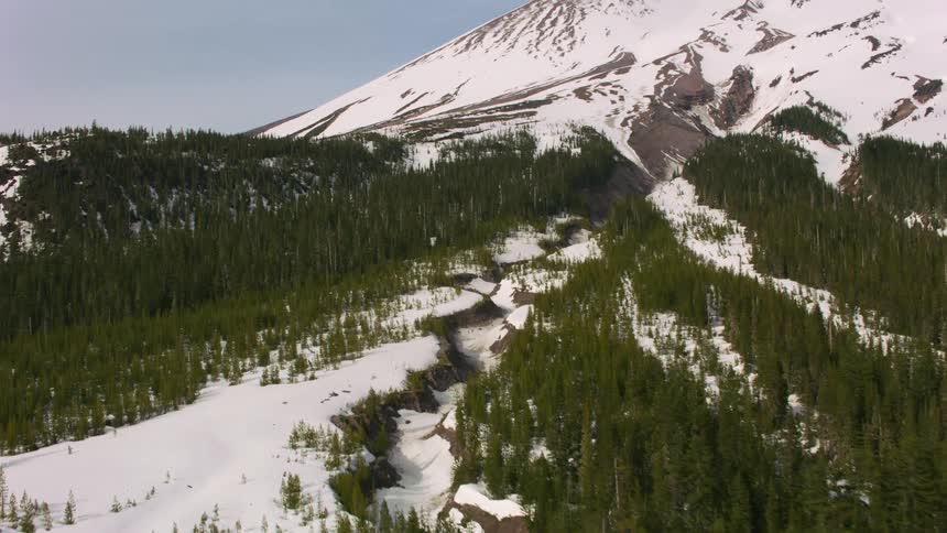 A hill covered with snow and numerous green trees below it also covered in snow