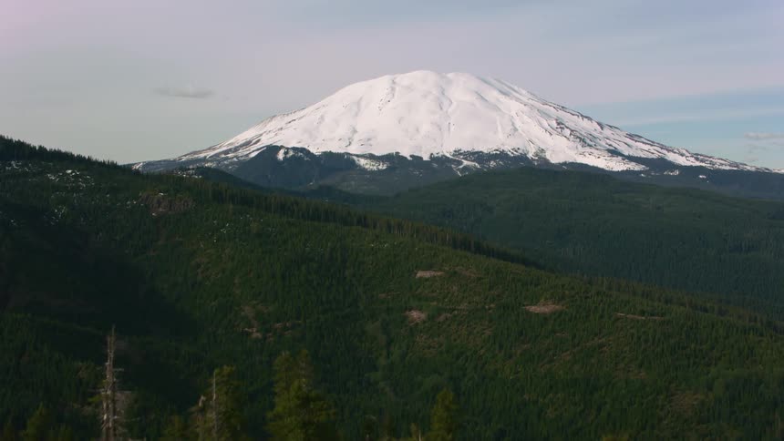 Aerial view of the snowcovered peak of a mountain surrounded by pine tree forests