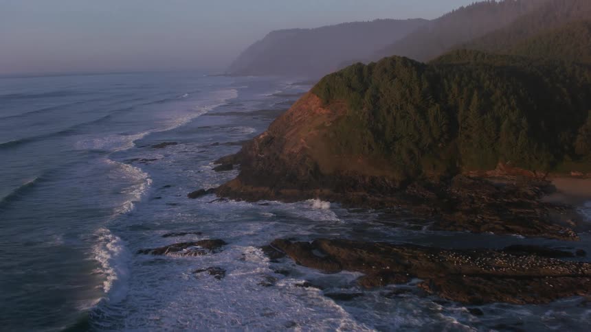 An aerial view of plantcovered cliffs and waves along the shore