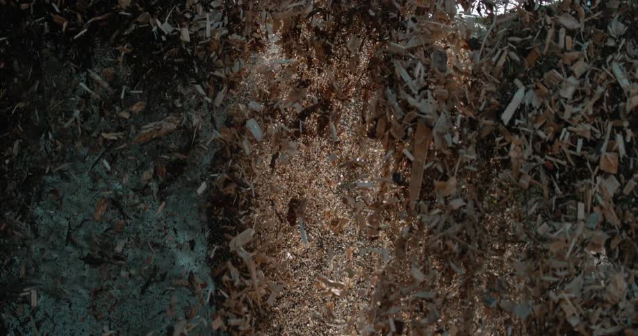 Sun shines through center of falling wood shavings near heavy machinery
