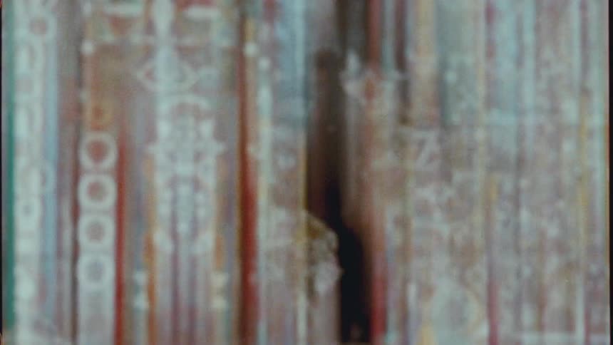 A person in silhouette walks from right to left behind an abstract curtain