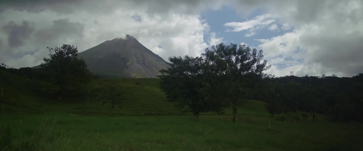 A few trees are in front of a volcano in the distance