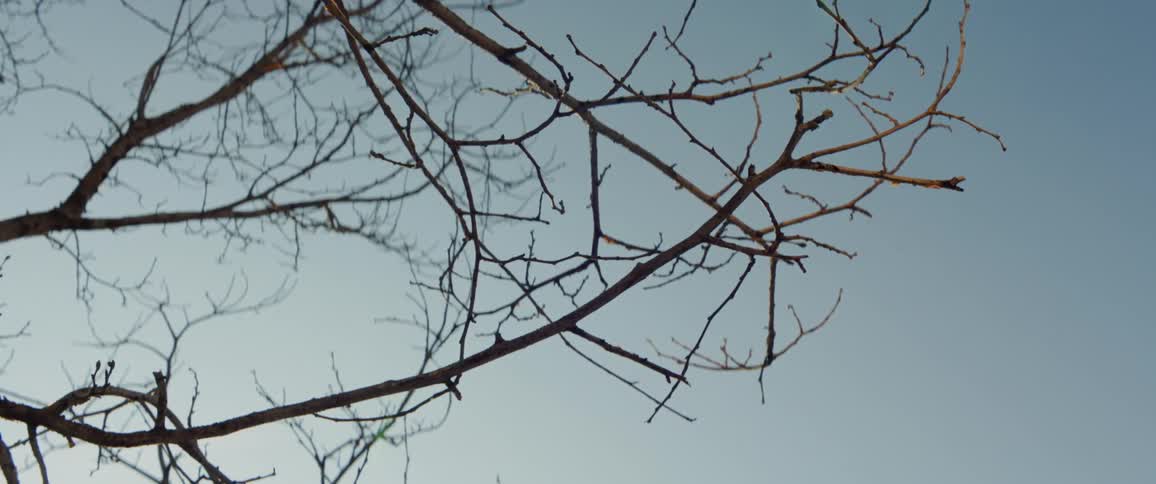 Toronto City Scenics