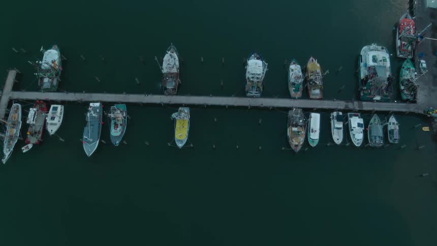 Boats sit at docks on dark green water