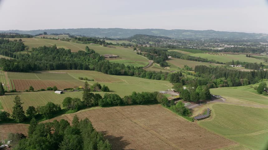 An aerial view of a large plain divided into sections by trees and crops