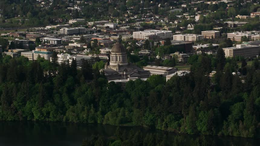 Tall trees surround a domed building in a city