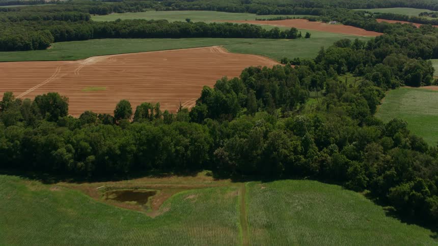 The view is of the forest area in the middle of the day