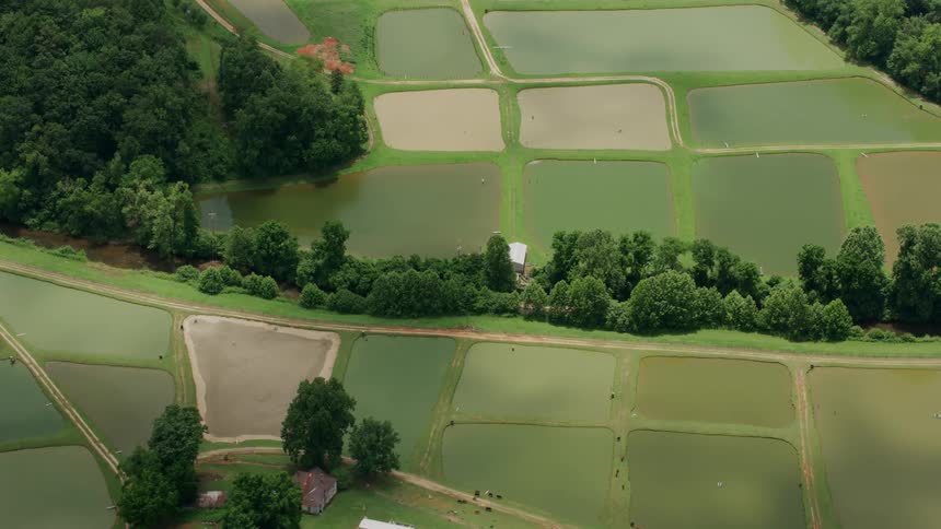 Aerial view of the area of carp ponds