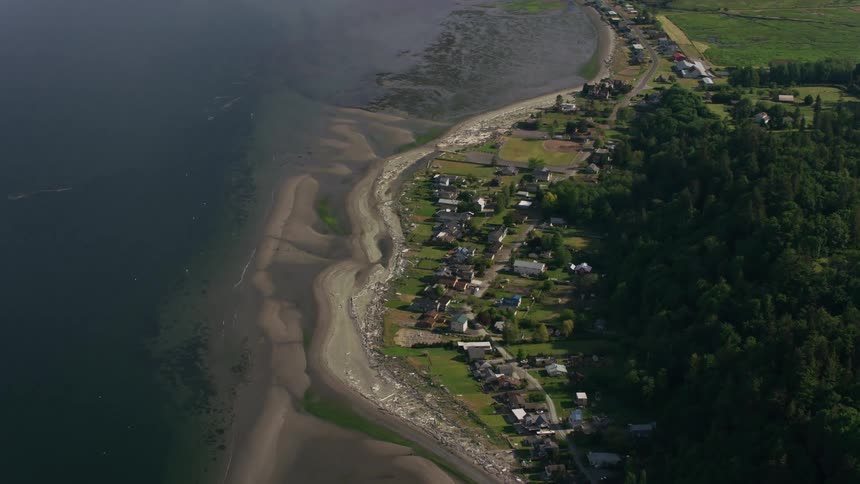 The sun shines upon a small coastal community on the outskirts of a forest