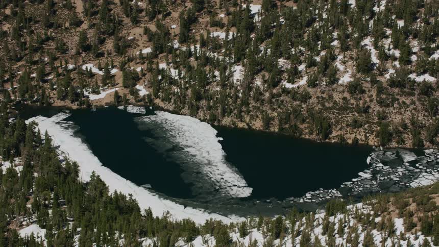 Snow and ice cover part of a lake and forest