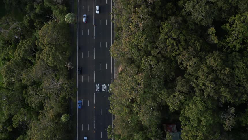 Aerial view of cars driving on highway through forest