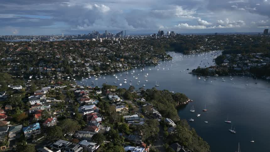 Many sail boats in a river next to a city
