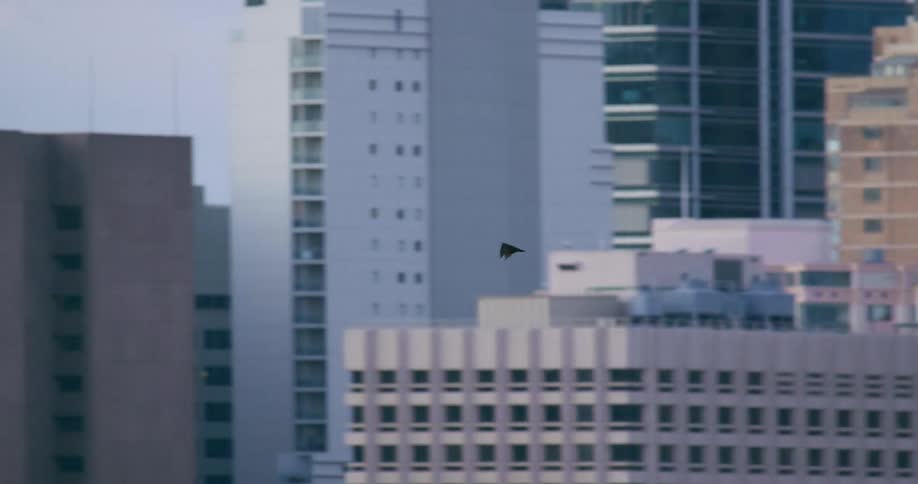 A large black bat is flying through the sky with skyscrapers in the background