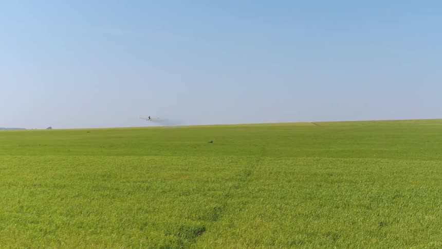 Airplane flies over field dusting the crops