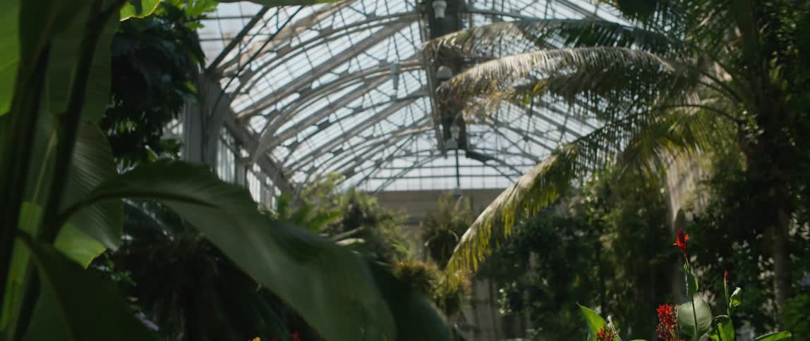 Plants in a green house are displayed
