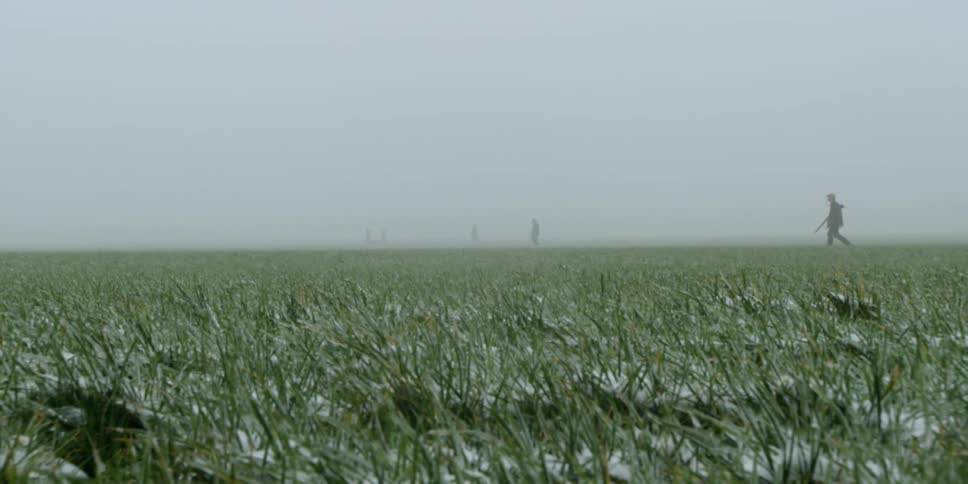 People carrying rifles walk in a foggy field