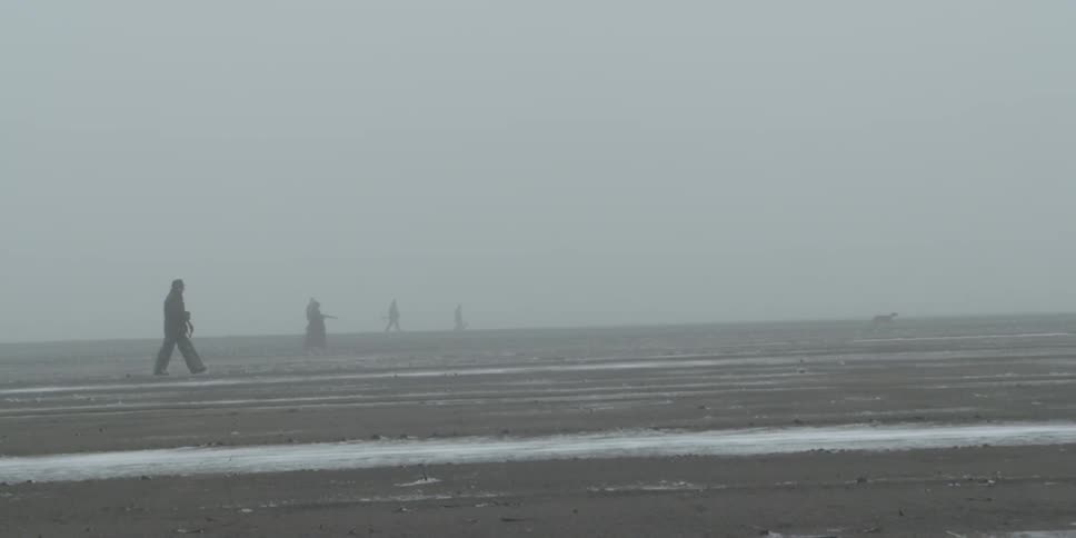 Hunters walk in a hazy field carrying their rifles