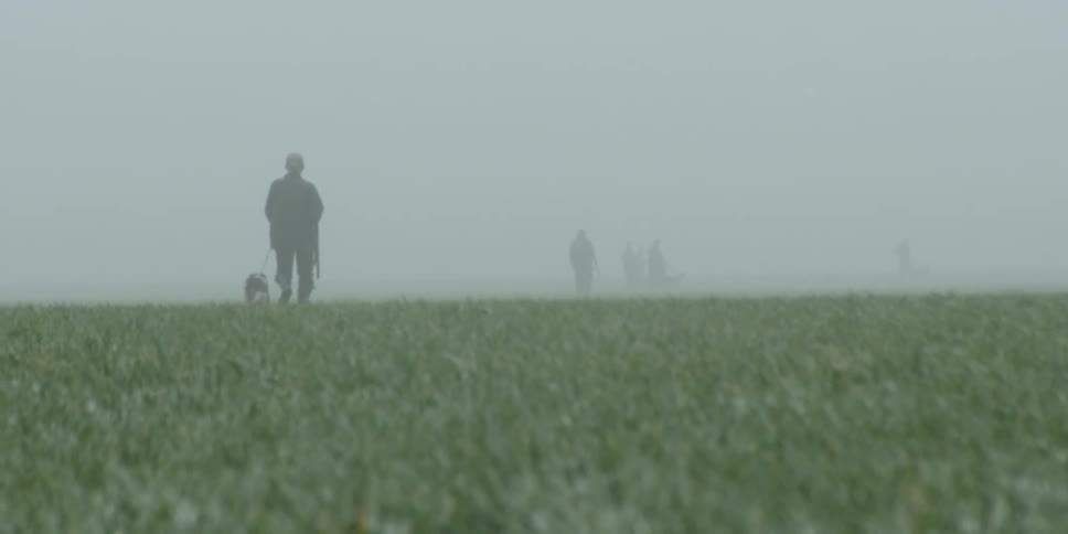Hunters and their dogs are walking through a field on a foggy winter day