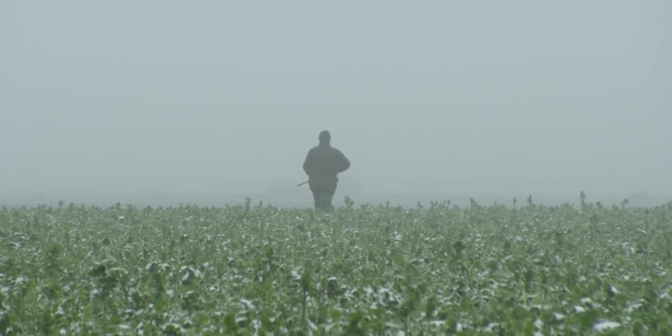 A hunter walks through a field on a foggy day