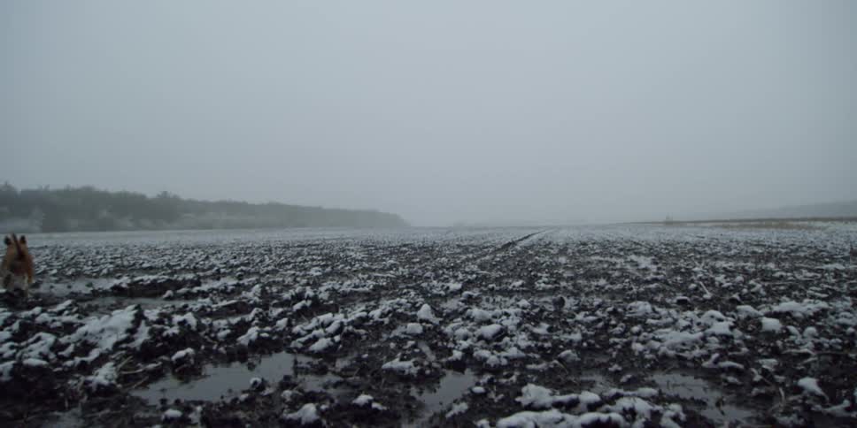 A dog runs over snowy and muddy ground
