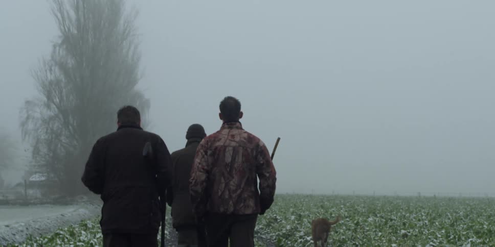 Three men holding guns are walking with dog on foggy day