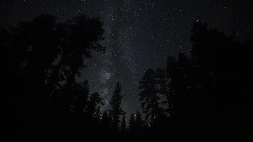 Stars move over a forest