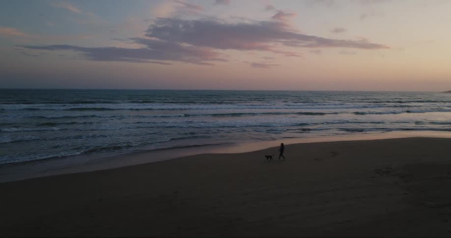 A woman is walking on the beach with her dog as waves roll into shore