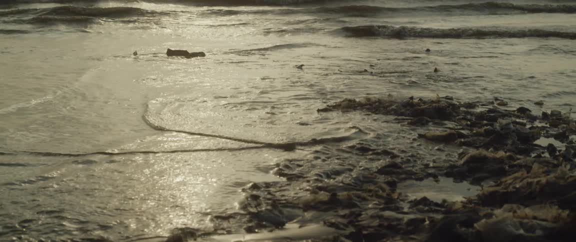 Two people silhouetted against sky occupy surf near debris and flotsam strewn beach