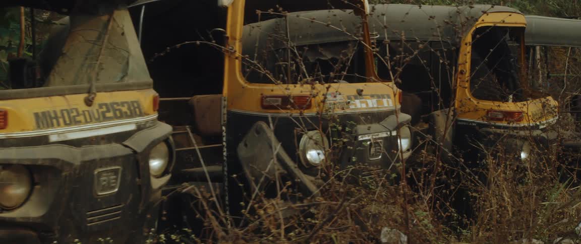 Junked buses sit in row in brush filled area