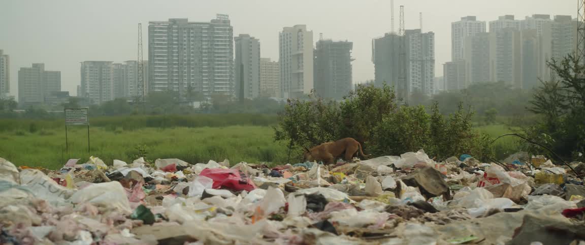 A dog is walking across trash dumped in a landfill near many tall buildings under a hazy sky