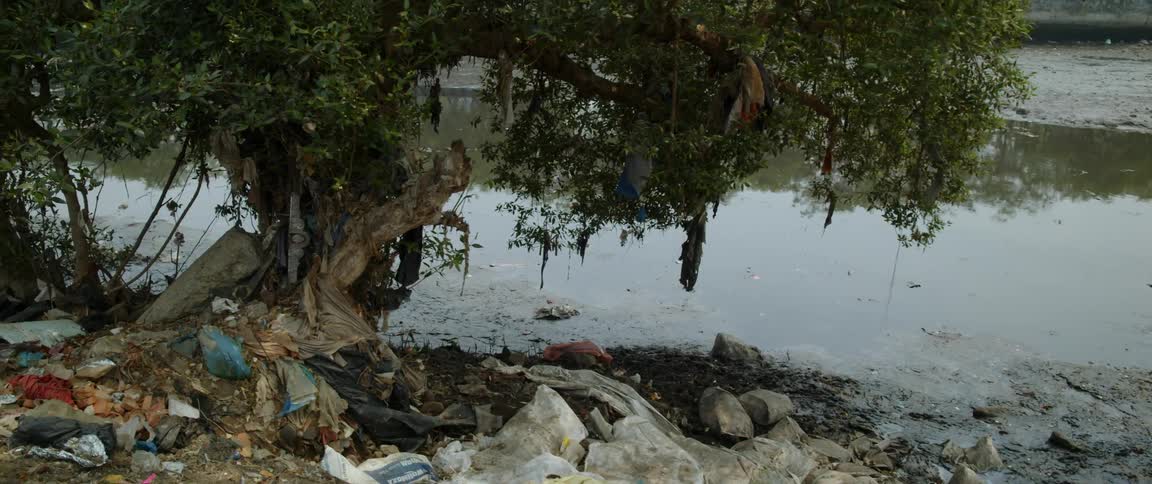 Trash covers ground under tree on riverbank